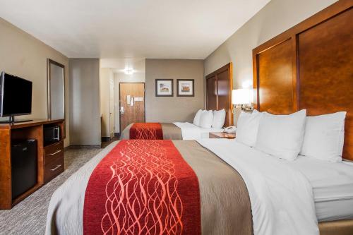 comfort inn marshalltown south