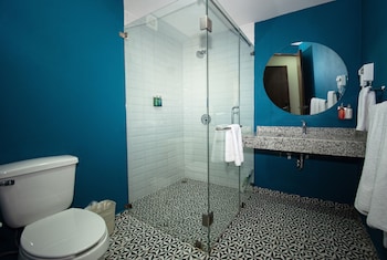 vista express guadalajara expo