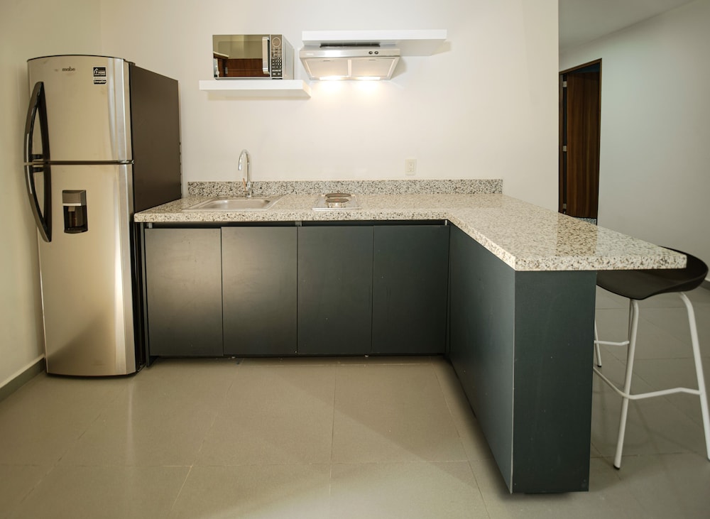 vista express guadalajara expo