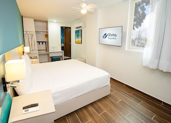 vista express guadalajara expo