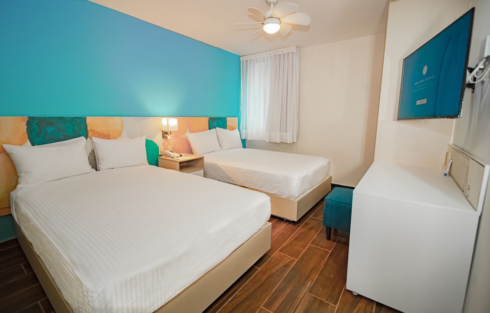 vista express guadalajara expo