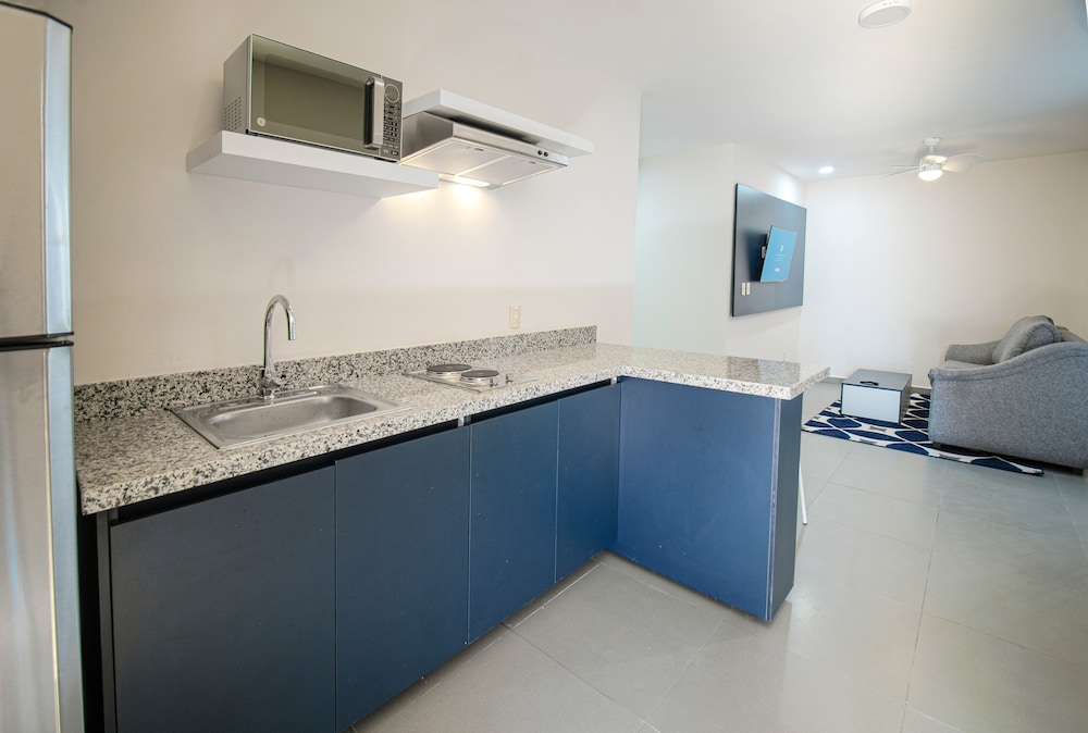 vista express guadalajara expo