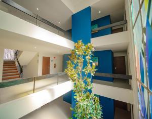 vista express guadalajara expo