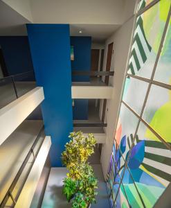 vista express guadalajara expo