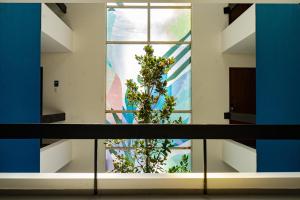 vista express guadalajara expo