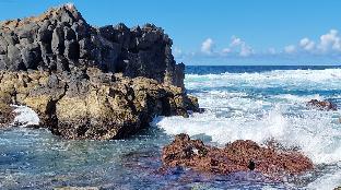 boutique eco hotel costa magica