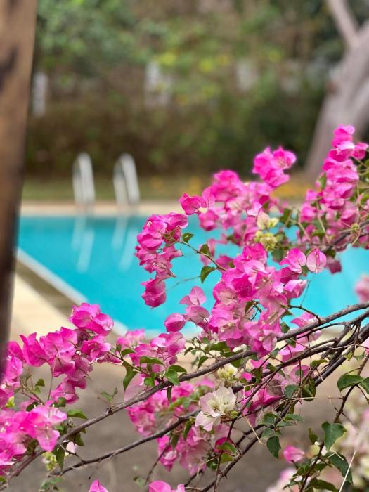 resort hoshihana