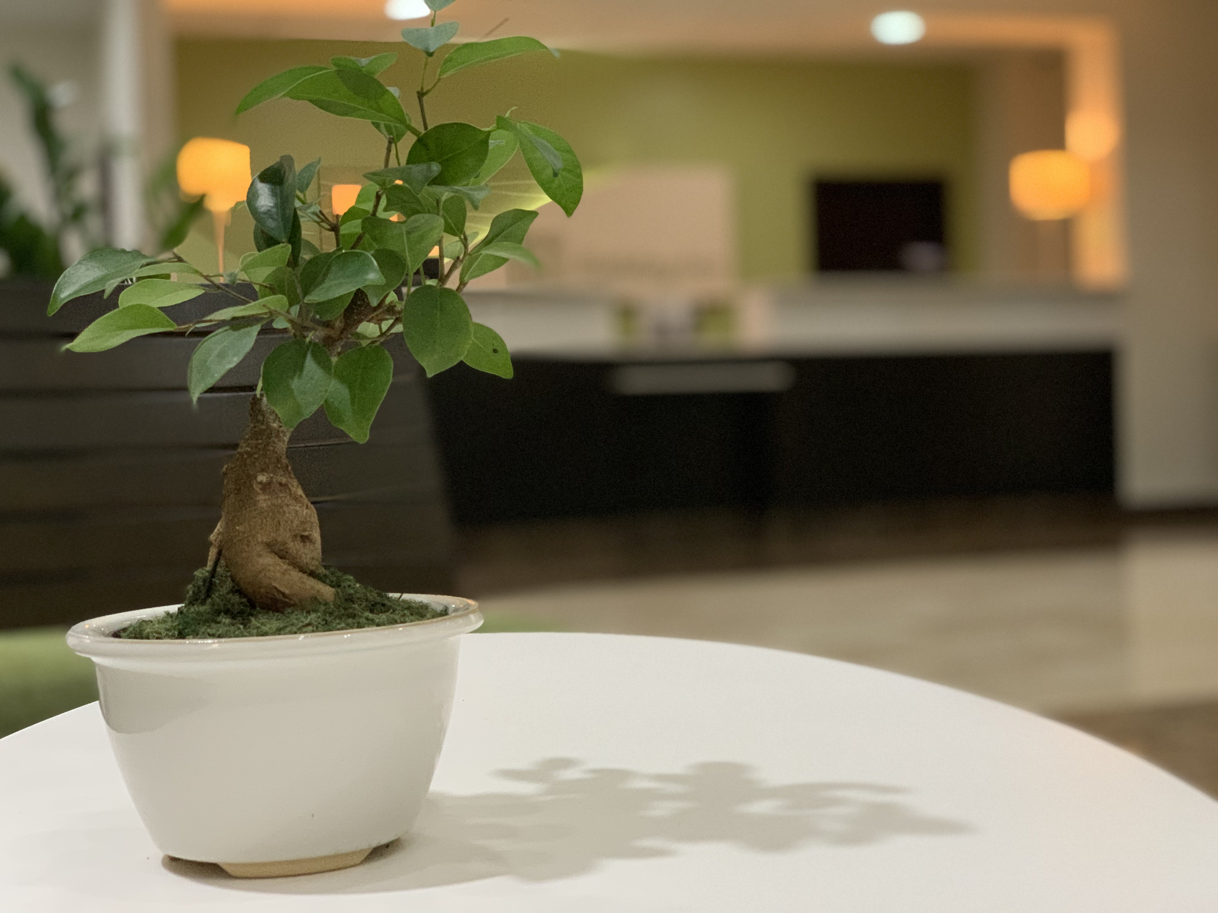 holiday inn mayaguez and tropical casino by ihg