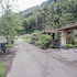 kintamani