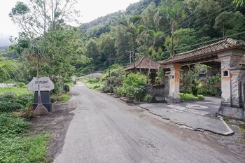 kintamani