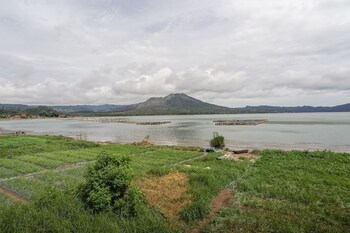 kintamani