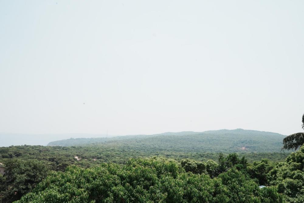 springfield family apartment