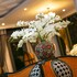 the secret halong hotel