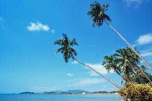 zayn samui hotel
