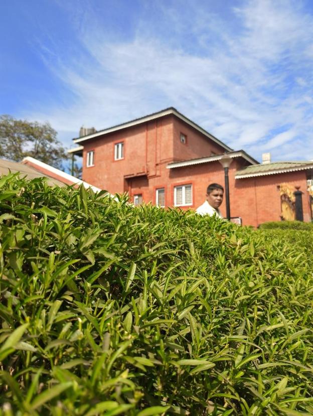 panorama resort managed by yashoda group