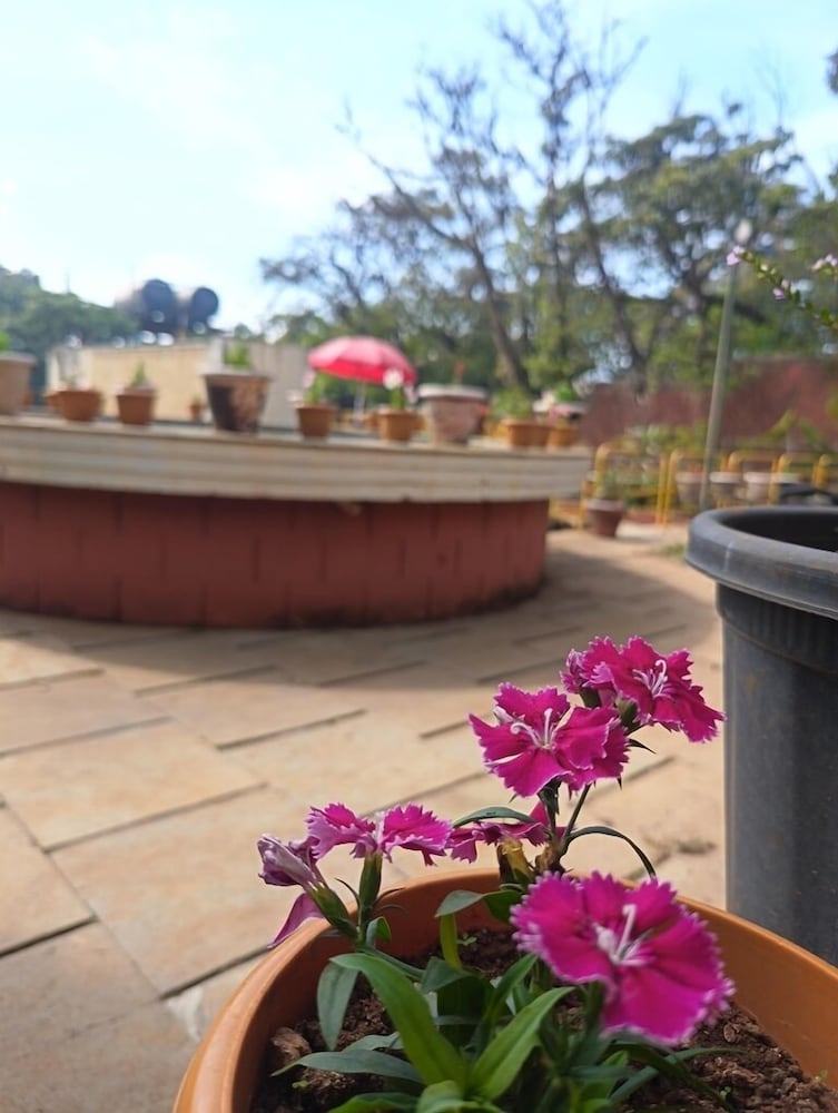 panorama resort managed by yashoda group