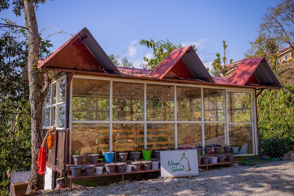 naya gaun resort sarangkot