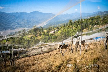 naya gaun resort sarangkot