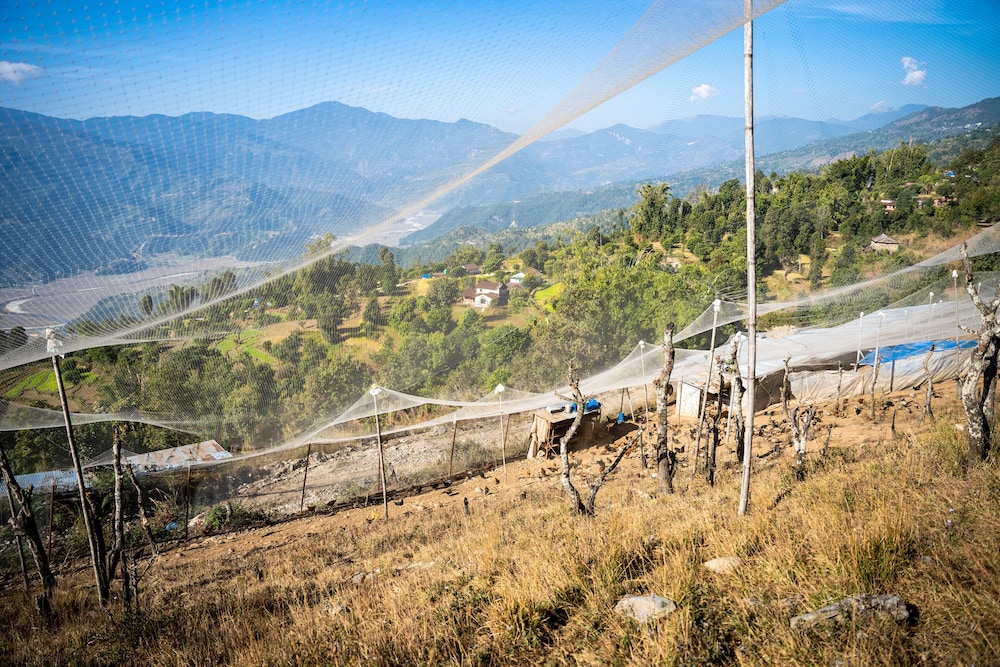 naya gaun resort sarangkot