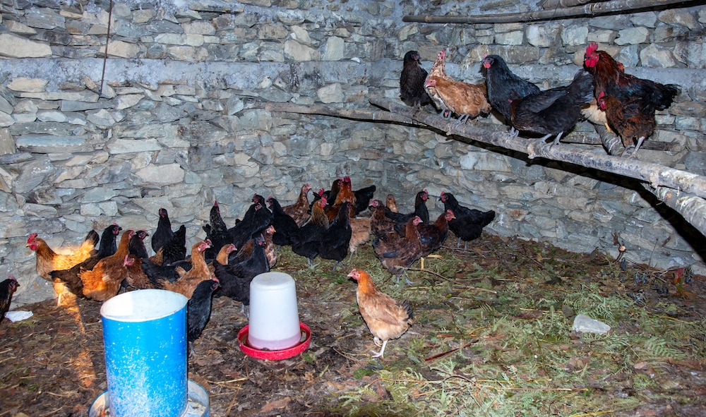 naya gaun resort sarangkot