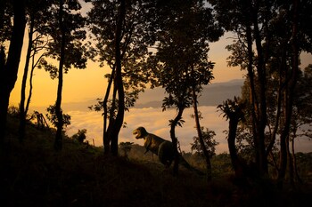 naya gaun resort sarangkot