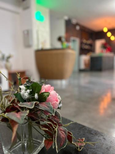 hotel miro rimini