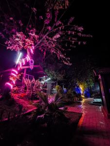 greenland cottages arambol