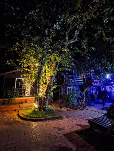 greenland cottages arambol