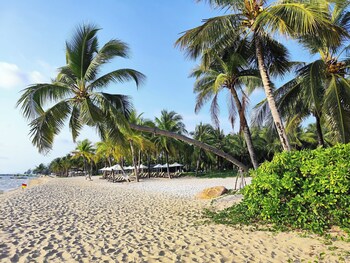 stella marina boutique