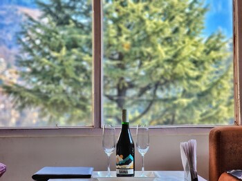 Page 3 - Riverside Rooms & Bar,India>>Manali,2.5 star