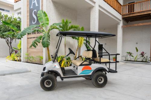 bananas on the beach