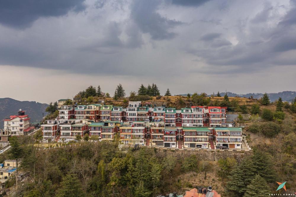 zostel homes shimla