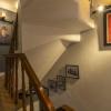 zostel homes shimla