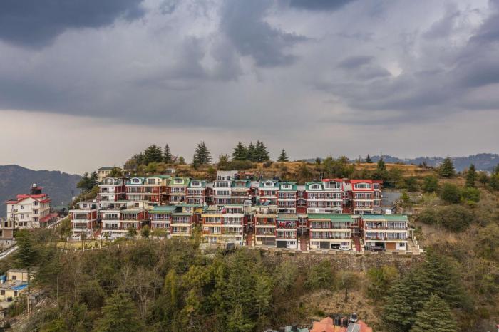zostel homes shimla