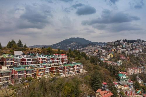 zostel homes shimla