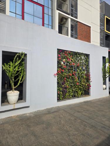 musada luxury hotels and suites