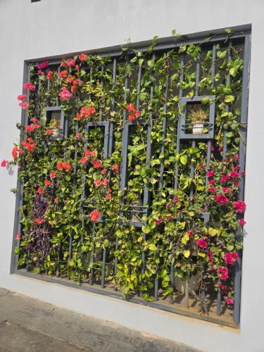 musada luxury hotels and suites