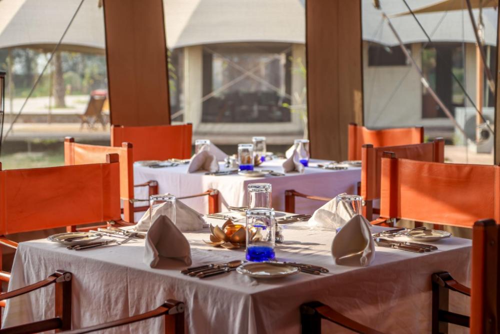 sawai shivir ranthambore by tutc