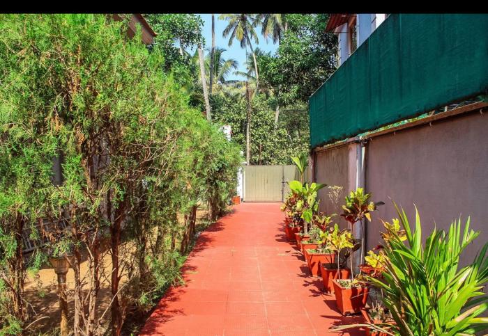 calangute