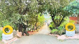 mount abu