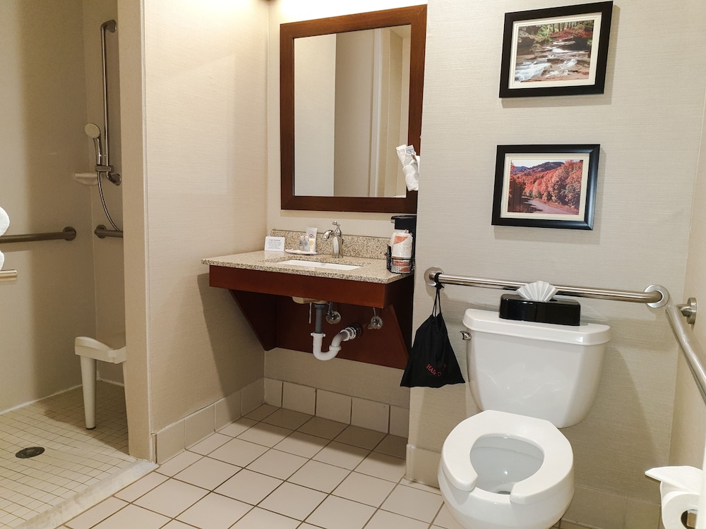 comfort inn and suites logan near university
