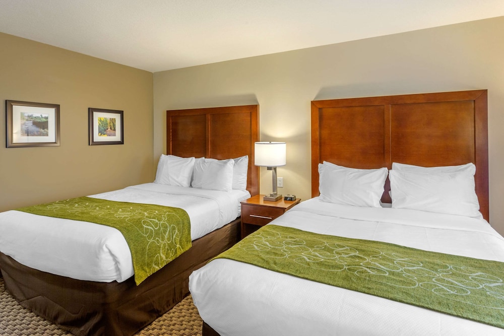 comfort inn and suites logan near university