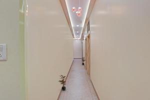 806509 hotel kiwi international