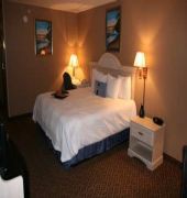 comfort inn killeen
