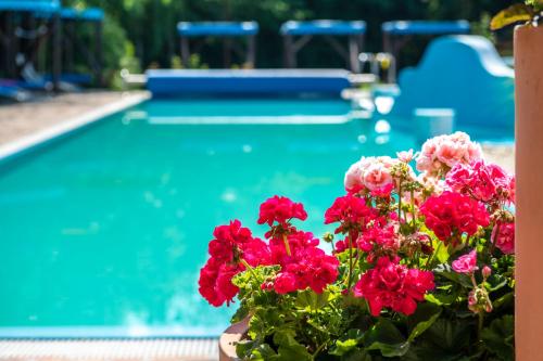 duna relax hotel