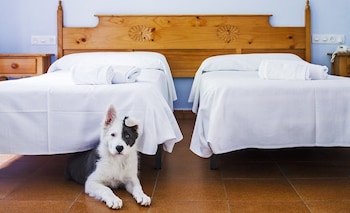 hotel real de castilla