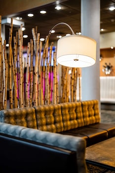 the verve hotel boston natick tapestry collection by hilton