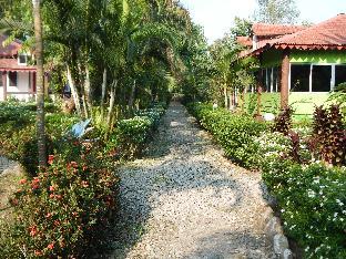 Sdd Murti Dooars,India>>Chalsa,3 star
