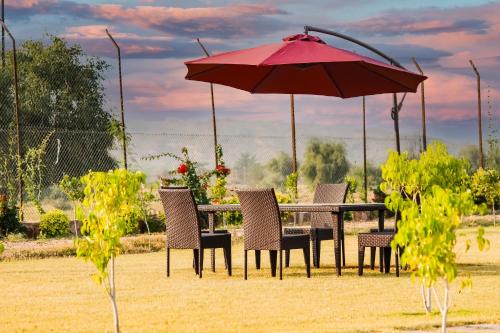 Band Baretha Resort,India>>Bayana,5 star