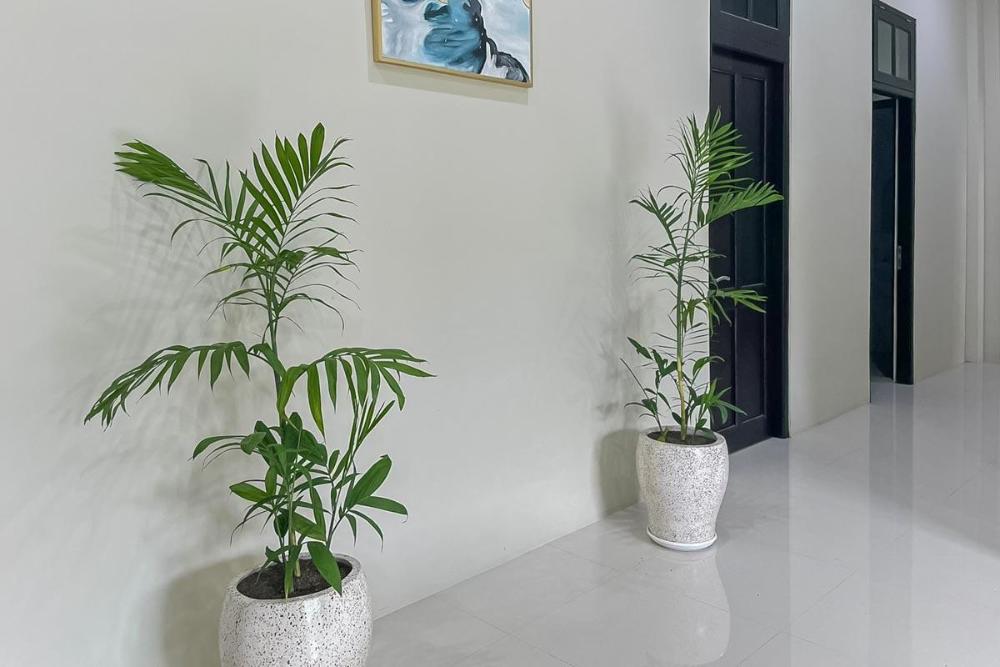 reddoorz syariah near stasiun madiun 2